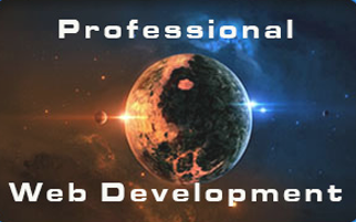 Professional Web Design and Development